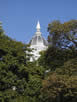 Jesse Hall and Trees